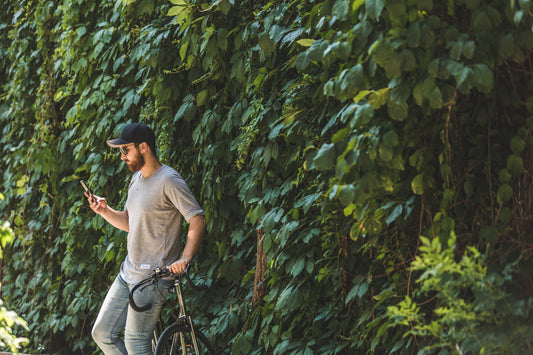 How Often Should you Fertilise