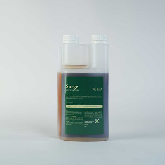 Surge Growth and Recovery