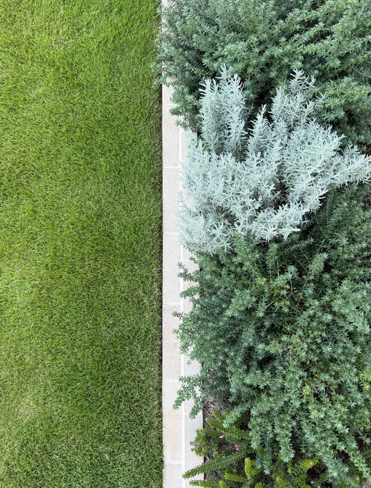 Lawn Care Calendar Australia: Month-by-Month Guide