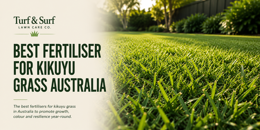Best Fertiliser for Kikuyu Grass Australia