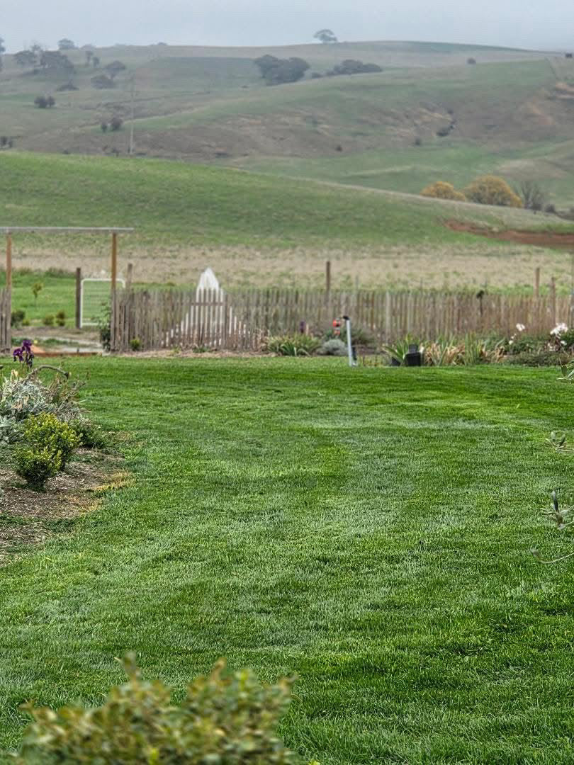 Not sure which lawn product is right for you? Answer 4 questions and find out.