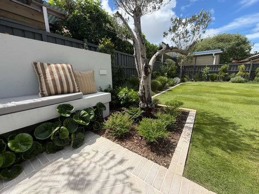 Why Your Neighbour’s Lawn Is Darker Than Yours