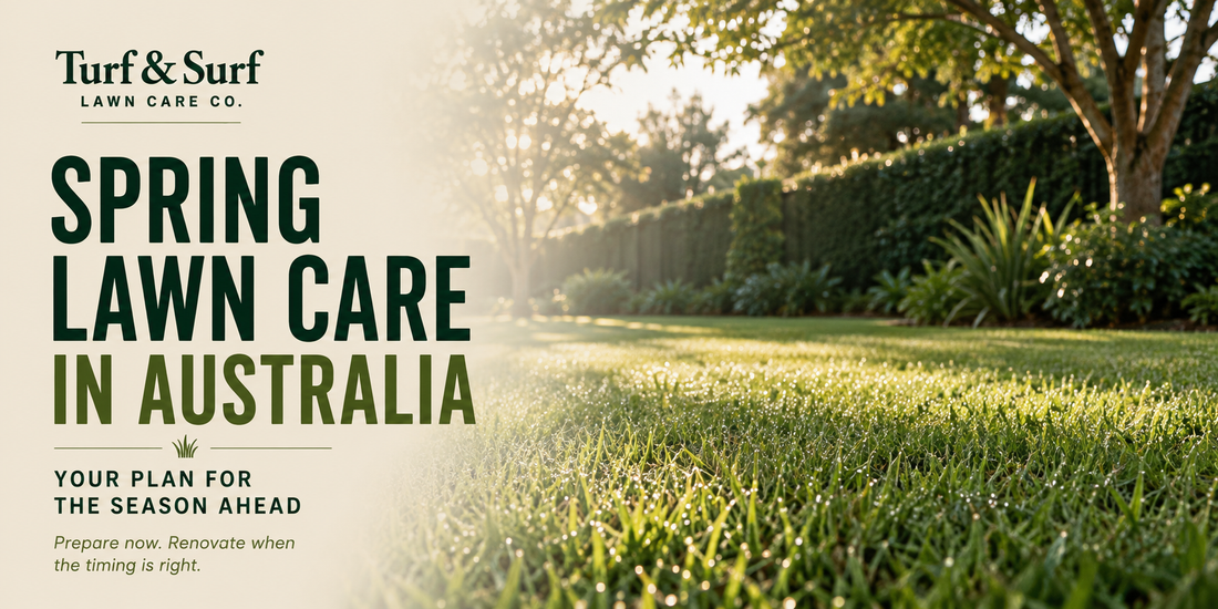 Spring Lawn Care in Australia: Your Plan for the Season Ahead
