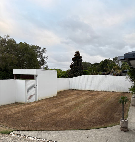 Spring lawn renovation guide showing Australian lawn being prepared for growth season