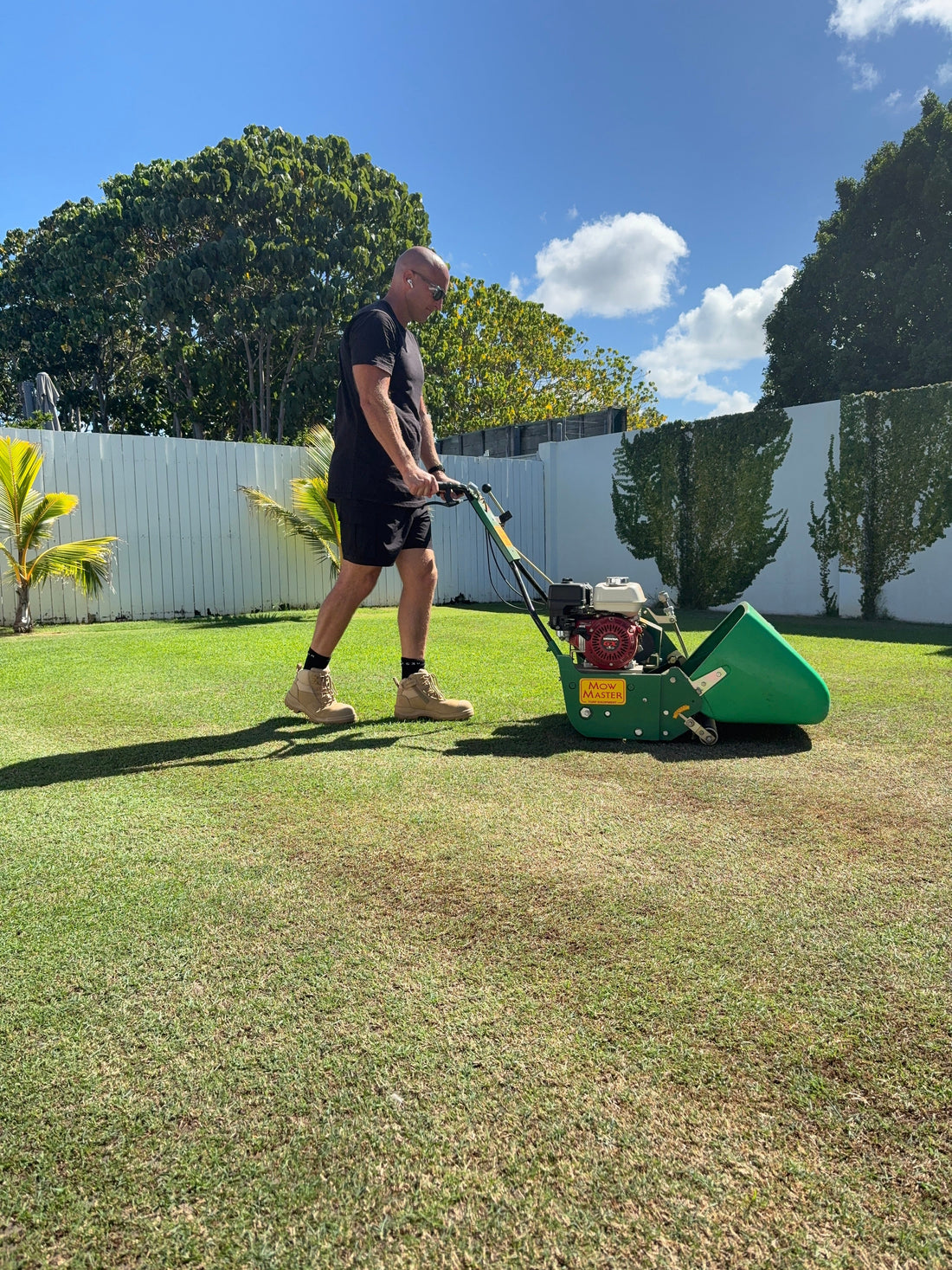 My Lawn Got Destroyed Over Summer. Can It Come Back?