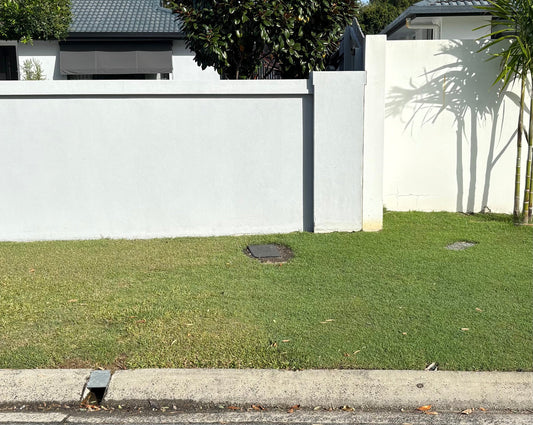 Why Is My Lawn Yellow in Winter?