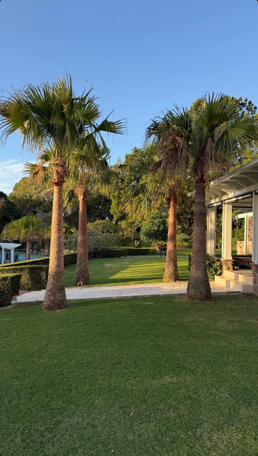 What Should I Be Putting on My Lawn Right Now?
