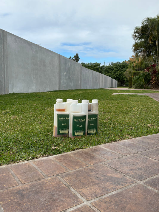 Freshly laid turf rolls being installed on Australian lawn in winter