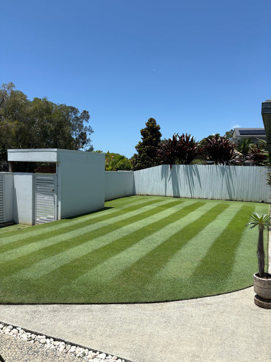 Best Fertiliser for Couch Grass in Australia