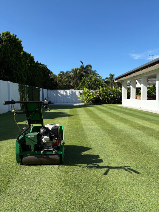 How Often Should You Apply Lawn Products?