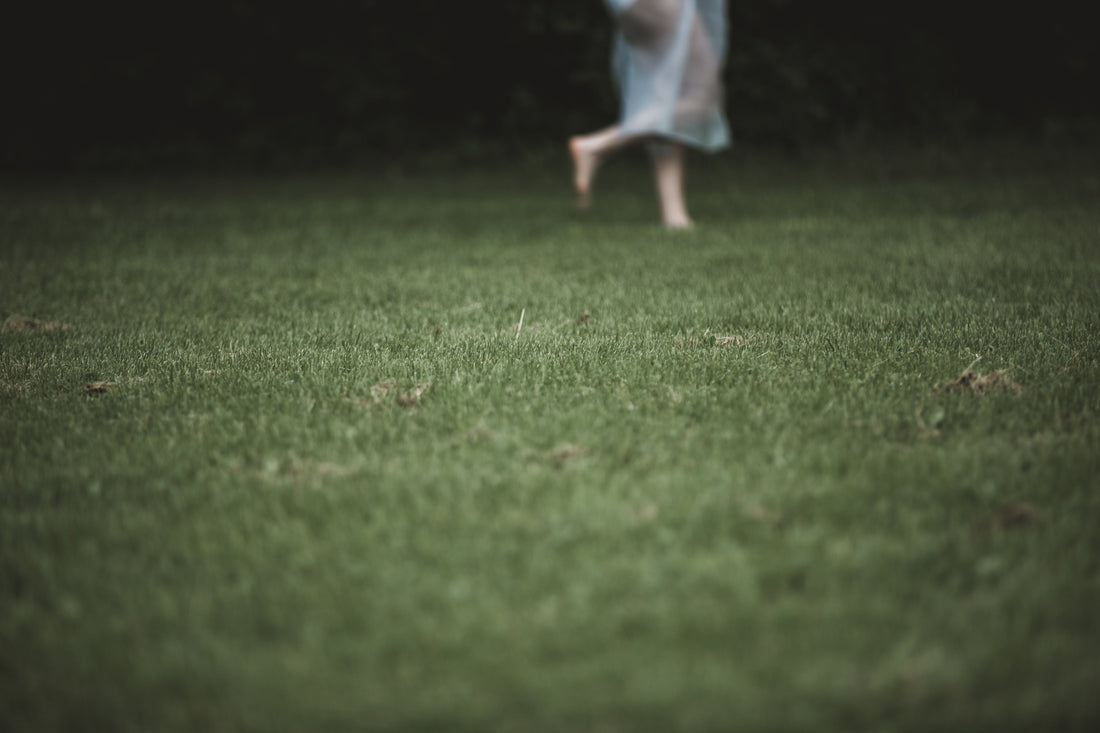 Lawn Care Calendar Australia