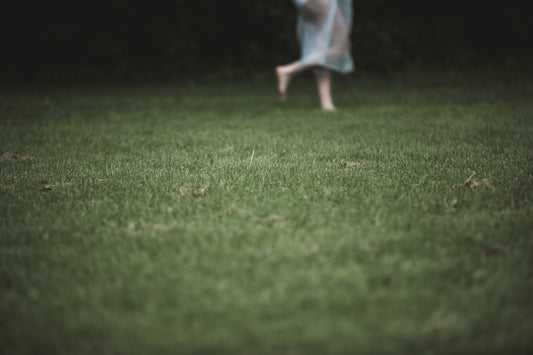 Lawn Care Calendar Australia
