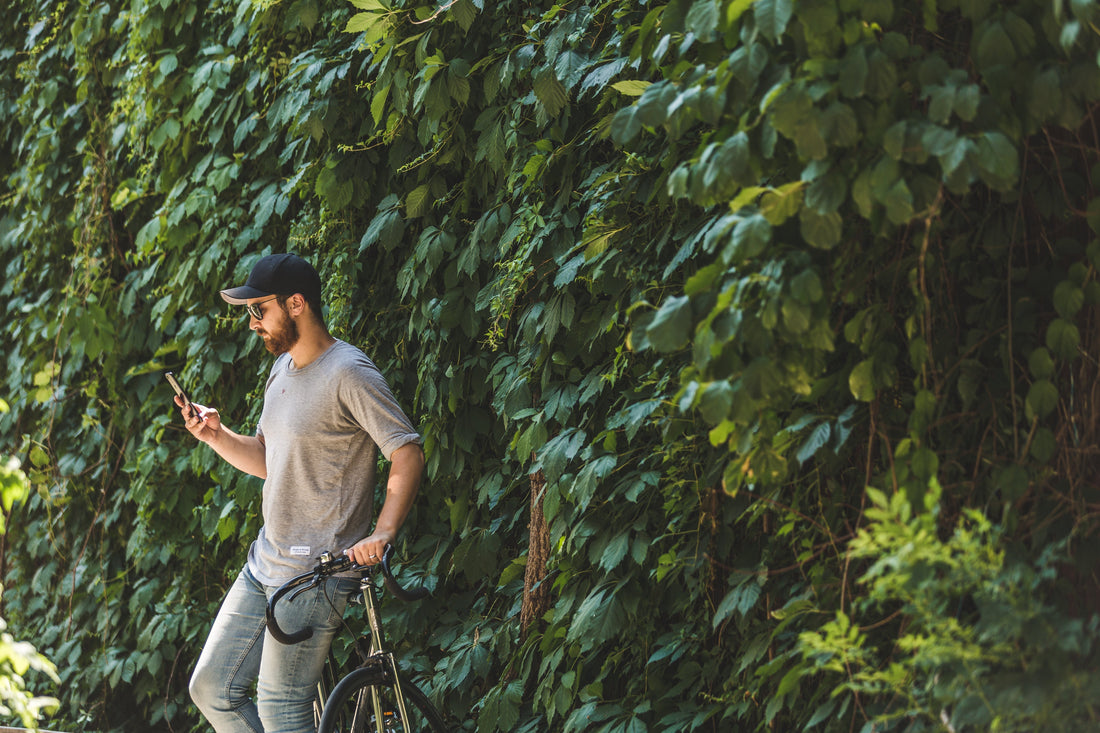 How Often Should you Fertilise