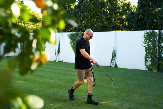 Should You Stop Fertilising Your Lawn in Winter?