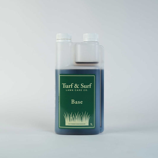 Base Foundation Builder