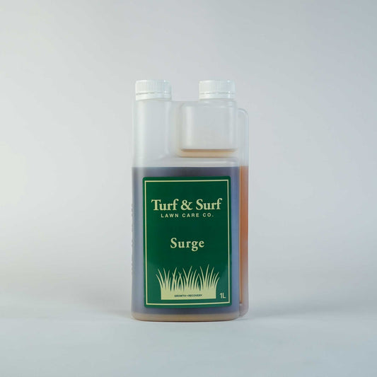 Surge Growth and Recovery