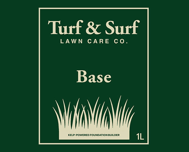 Base Foundation Builder